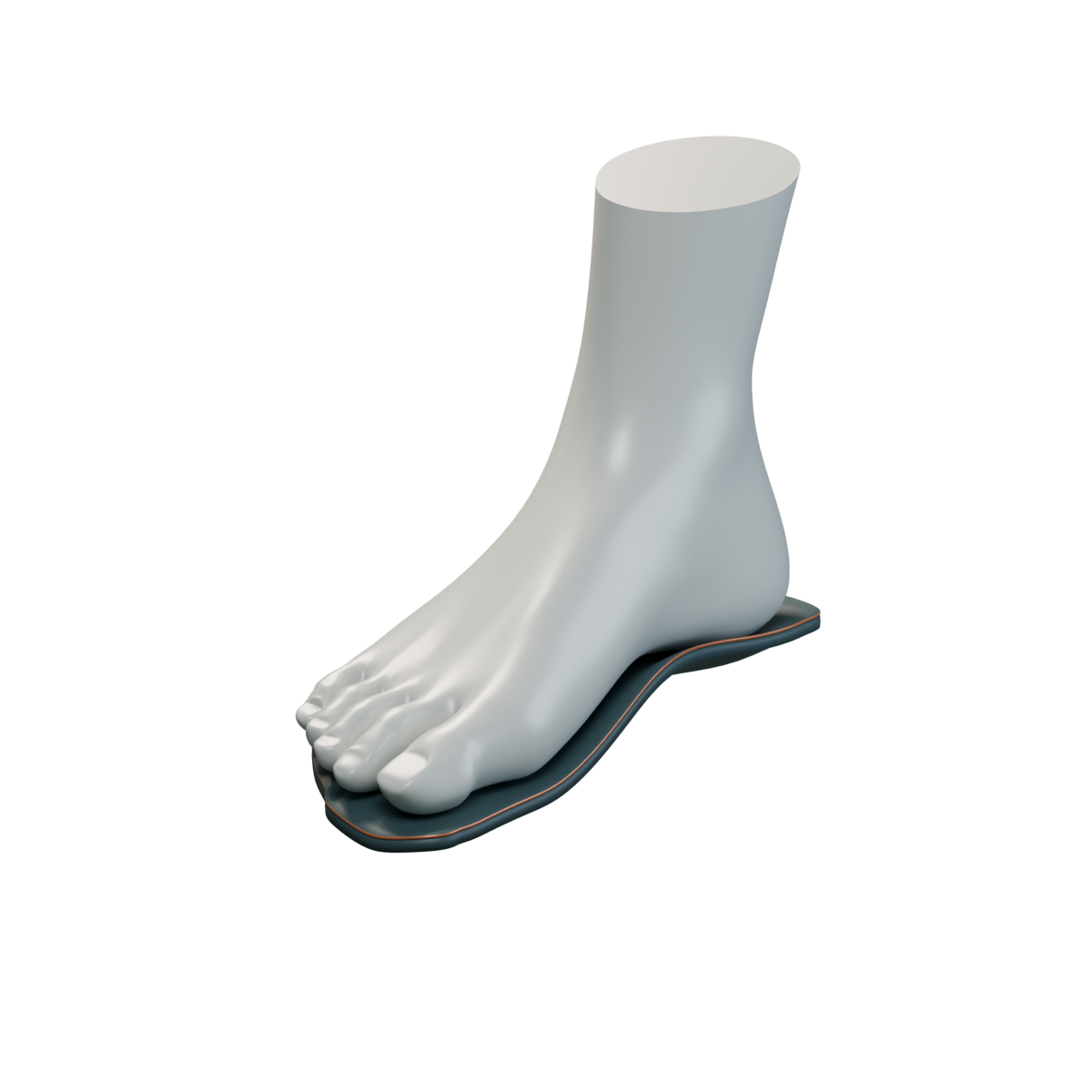 An anatomical foot with a fitted, contoured orthotic